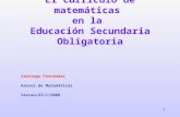 Competencias curriculures Matematicas Secundaria