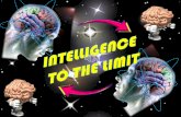 Inteligence to the Limit (Seguro de Personas)