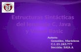 Estructuras Sintácticas del lenguaje C, Java y Visual Basic