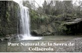 Parc Natural Serralada de Collserola