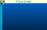 MUNICIPALIDAD DE CLORINDA GESTION 2007 - 2011
