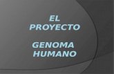 Proyecto genoma humano (cmc)
