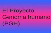 El Proyecto De Genoma Humano
