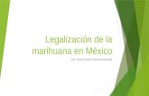 Legalización de la marihuana en méxico