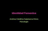 Identidad Femenina - Amelia Peláez 1946