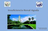 Insuficiencia Renal aguda (Lesión Renal Aguda)/Fisiopatología y manejo