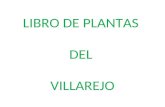 LIBRO DE PLANTAS DEL VILLAREJO
