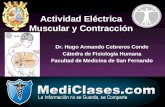Actividad Eléctrica Muscular y Contracción