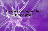 FarmacologíA Del  Receptor