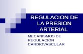 Regulacion de la presion arterial 2012