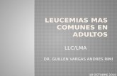 Leucemias mas comunes en adultos