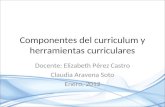 Componentes del curriculum y herramientas curriculares