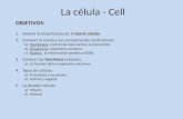 La celula: la teoría celular, estructura y función. La división celular