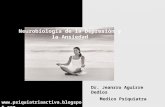 Neurobiologia de la depresion y ansiedad Dr. Aguirre j.
