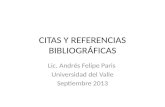Citas y referencias bibliográficas