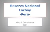 Reserva nacional lachay