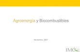 Factores de producción / Energía: Biocombustibles (2007)