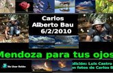 En Memoria de Carlos Alberto Bau