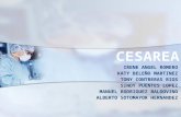 Cesarea Presentacion de Monografia
