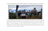 Monografía de miraflores mariquita-ocaña