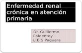 Insuficiencia renal crónica s. ponsa
