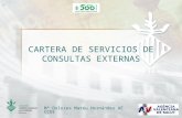 CARTERA DE SERVICIOS DE ENFERMERIA EN  CONSULTAS EXTERNAS