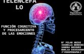 Telencéfalo - Función cognitiva y procesamiento de las emociones