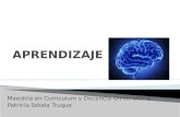 Neurociencia y el aprender