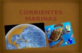 Corrientes Marinas y La Corriente del Niño