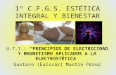 Principios de Electricidad y Magnetismo aplicados a la Electroestética