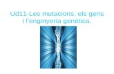 Ud11 les mutacions, els gens i l’enginyeria genètica