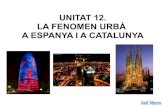 Unitat 12   el fenomen urbà a espanya i a catalunya