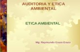 Auditoria y etica ambiental