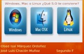 Windows, mac o linux