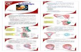 Embriologia de la placenta y membranas fetales_Resumen