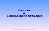 Cononcer a Listeria Monocitógenes