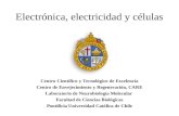 Electricidad y celulas 2010