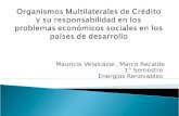 Organismos multilaterales de crédito y su responsabilidad (mvr)