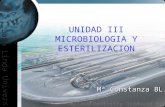 Microbiologia y esterilizacion