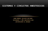 Sistemas y circuitos anestesicos