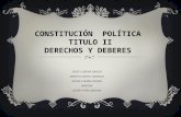 Constitucion politica titulo ii derechos y deberes