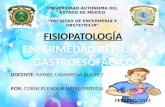 Enfermedad Reflujo GastroEsofagico ERGE