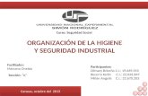 Presentación: Organización de la Higiene y Seguridad Industrial