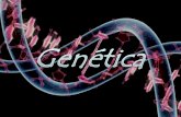 cta- genética