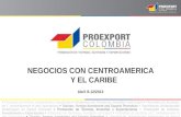 Oportunidades comerciales en centroamérica sur   prendas