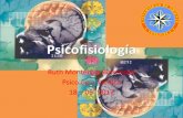 Psicofisiología   I-2012