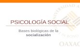 Psicología social - Socialización - Bases biológicas - Apego