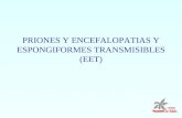Priones y encefalopatias espongiformes transmisibles (eet
