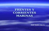 Frentes Y Corrientes Marinas