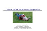 Control neural de la conducta agresiva